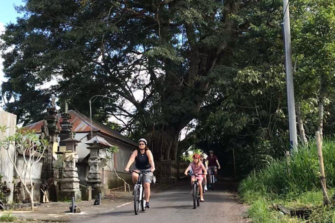 Half Day Cycling Tour ( Manual Bike ) - Tegallalang photo break and Bayung Gede start: quick, simple, and scenic