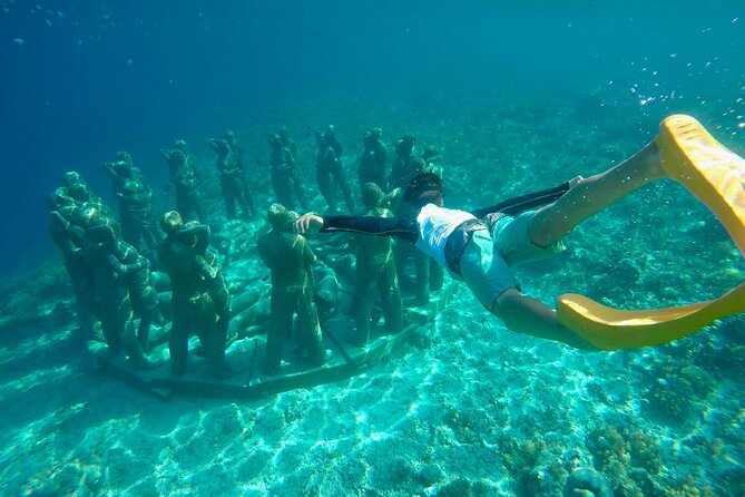 Half-Day Private Guided Snorkeling Turtles Underwater Statues - Price and value: what $85 per group buys you in the real world