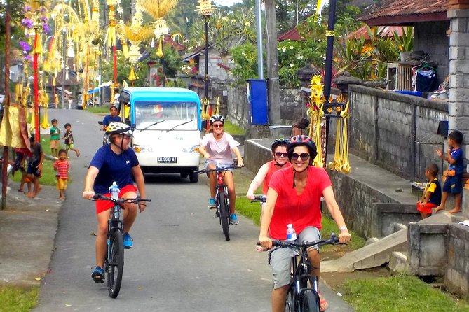 Half-Day Ubud Electric Cycling Tour to Tirta Empul Water Temple - The ride portion: rice fields, villages, and safer pacing
