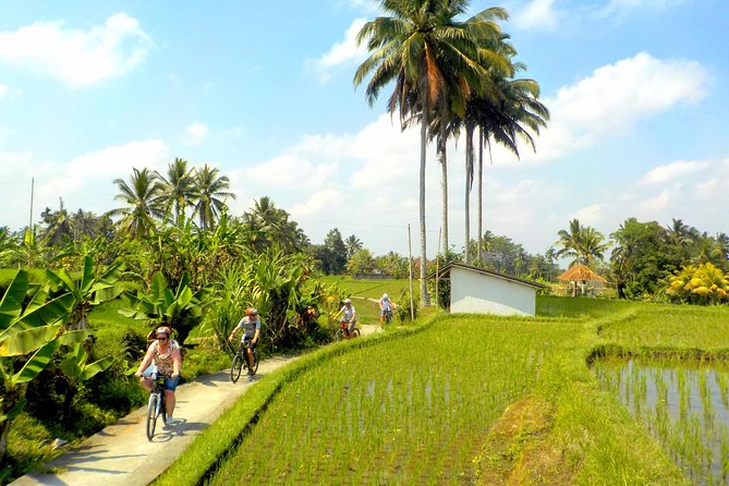 Half-Day Ubud Electric Cycling Tour to Tirta Empul Water Temple - Tirta Empul Water Temple: what the 45 minutes are for