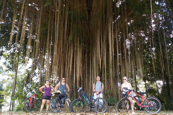 Half-Day Ubud Electric Cycling Tour to Tirta Empul Water Temple - Who this tour is best for (and who should skip it)