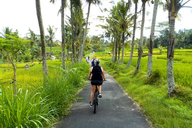 Half-Day Ubud Electric Cycling Tour to Tirta Empul Water Temple - Getting from your hotel without wasting your morning