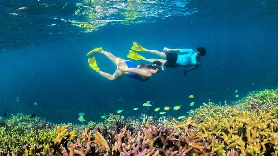Hidden Gili's Lombok Snorkeling Daily Tour - Gili Petagan mangroves: wooden paths plus a boat ride through channels