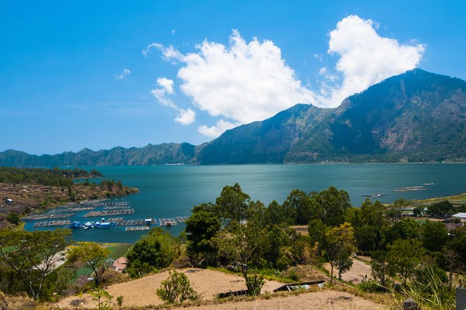 Highlights of Ubud & Mount Batur Volcano - Private Day Trip - Tegalalang rice terraces: the best kind of short hike