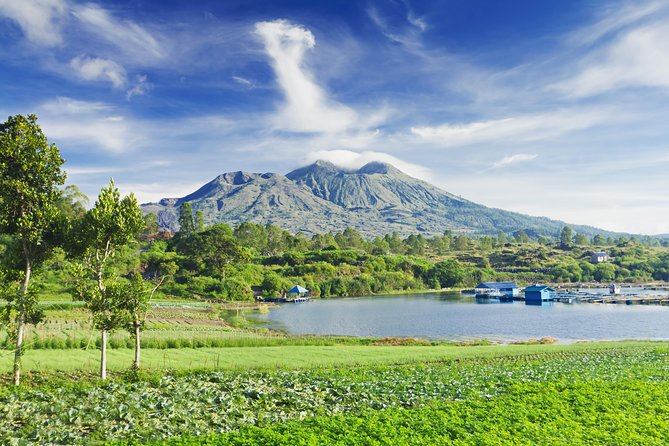 Highlights of Ubud & Mount Batur Volcano - Private Day Trip - Monkey Forest Sanctuary: how to enjoy the chaos safely