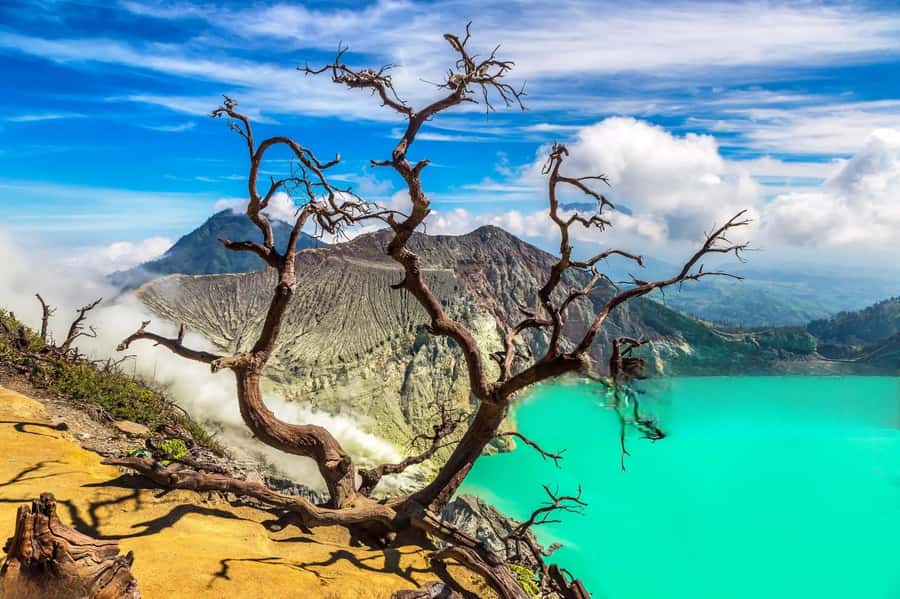 Ijen Crater Blue Fire Night Hike - Sulfur Miners and the Gask Mask Reality Check