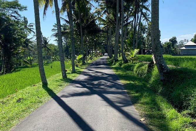 Individual Bali Day Trip with Private Driver and Free WiFi - Monkey Forest, Ubud markets, and rice terraces without the stress