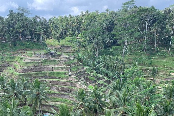 Individual Bali Day Trip with Private Driver and Free WiFi - Sanur morning vibes, the ridge walk, and beach time that feels local