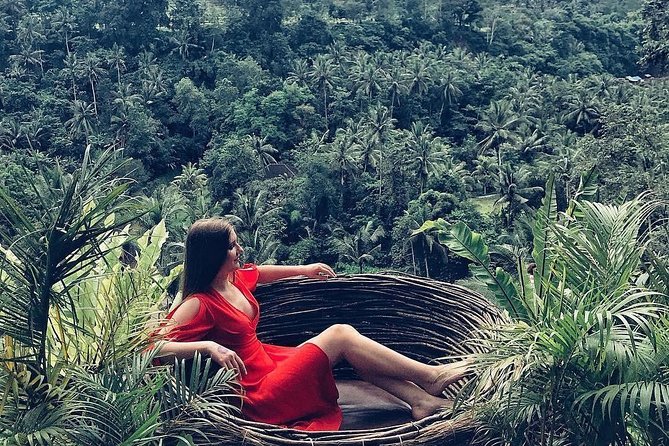 Individual Bali Day Trip with Private Driver and Free WiFi - East and north Bali favorites: Jatiluwih, Bratan, and the iconic gate photos