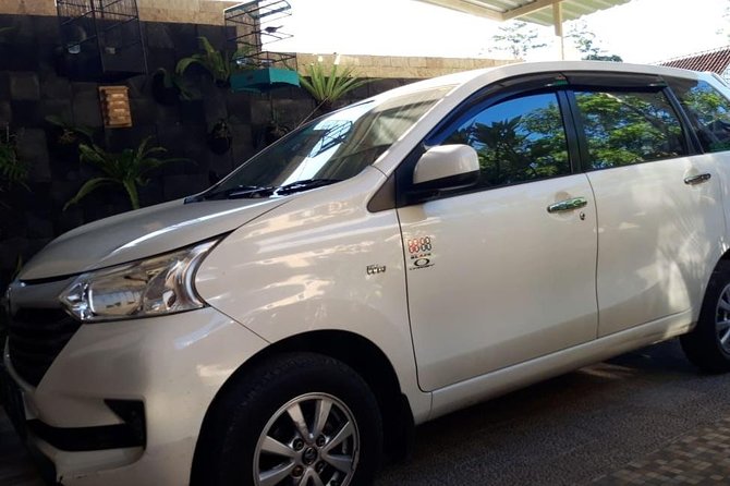 Individual Bali Day Trip with Private Driver and Free WiFi - Water palaces and sea-sky viewpoints: Tirta Gangga, Ujung, and Mount Agung