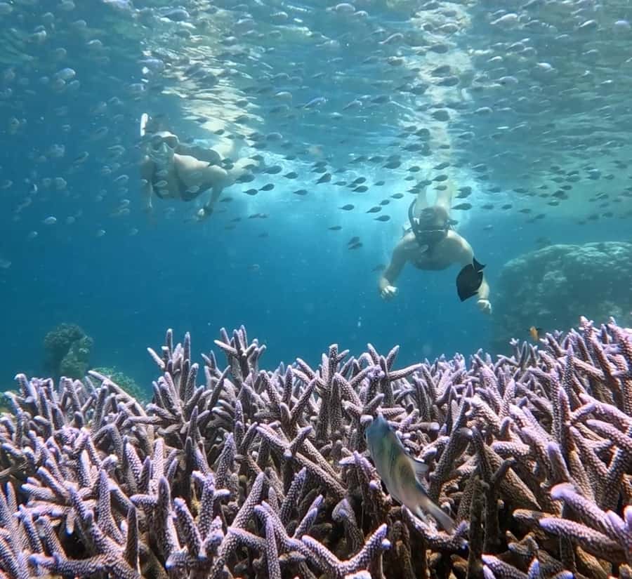 Island Hopping Gili Asahan, Gede, Rengit, Layar & Goleng - What’s included, what’s not, and what you should bring