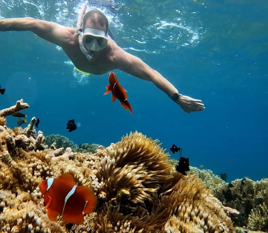 Island Hopping Gili Asahan, Gede, Rengit, Layar & Goleng - Gili Layar: garden fish time plus the grilled lunch