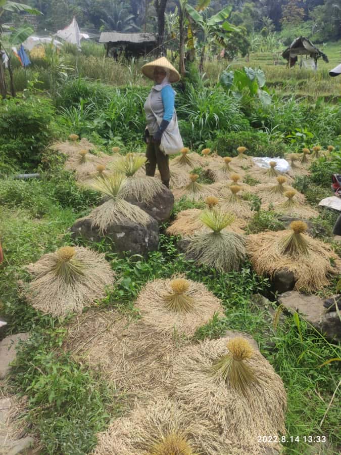 Jakarta: Active Volcano, Waterfall &beautiful local village - Tangkuban Perahu volcano: walking near the crater and watching the fume