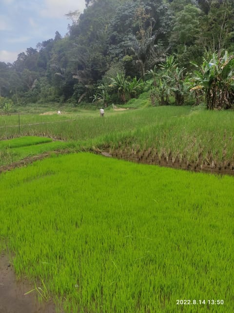Jakarta: Active Volcano, Waterfall &beautiful local village - Price and logistics: what $126 buys you in real terms