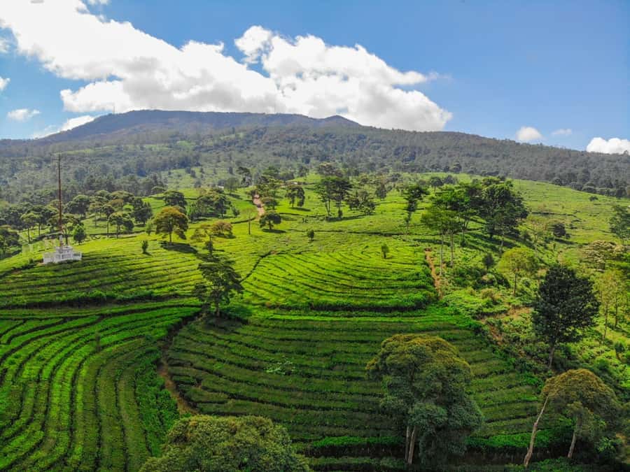 Jakarta: Bandung Volcano Day Tour - Key highlights you should care about