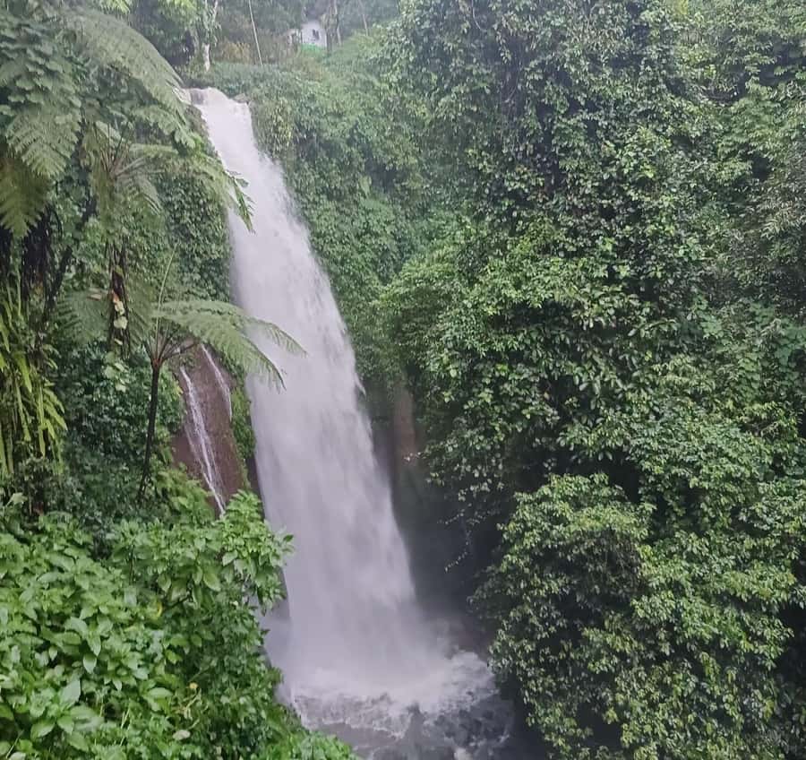 Jakarta Bogor Botanical Garden, Waterfall and Rice Terrace - Meeting the puppet maker: craft, workshop, and cultural context