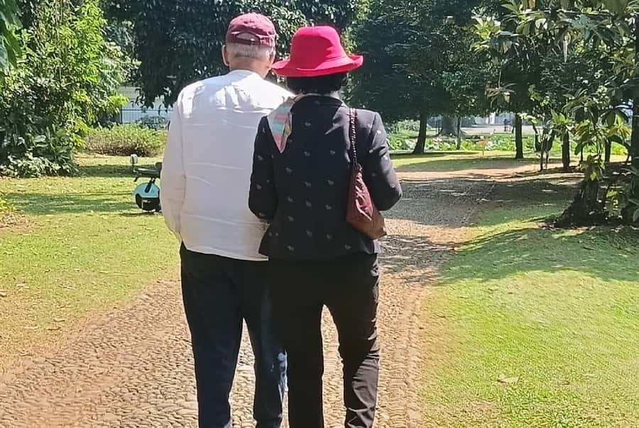 Jakarta Bogor Botanical Garden, Waterfall and Rice Terrace - Puppet crafts, gardens, rice fields, waterfall, repeat. How the guide keeps it smooth