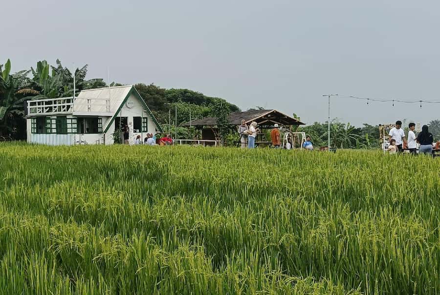 Jakarta Bogor Botanical Garden, Waterfall and Rice Terrace - What to bring, and how to prepare for Bogor weather