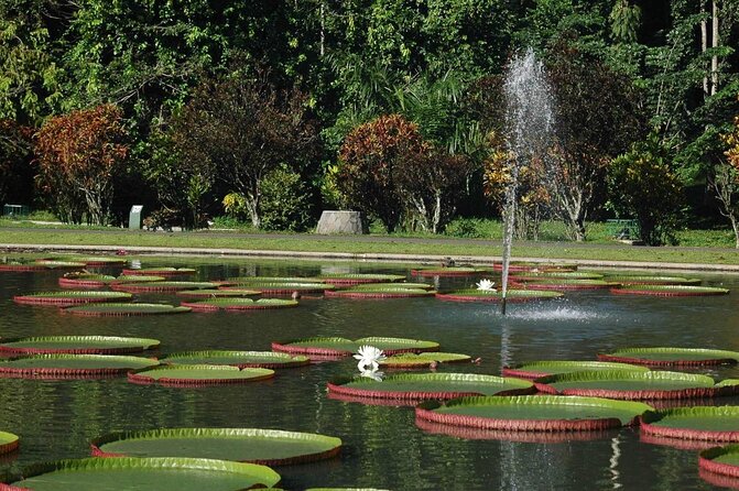 Jakarta Bogor Botanical Garden, Waterfall and Rice terrace, Lunch - Key highlights worth planning around