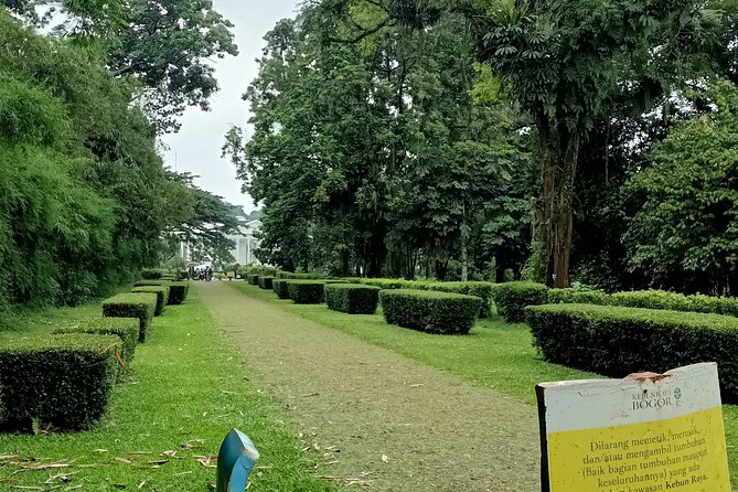 Jakarta Bogor Botanical Garden, Waterfall and Rice terrace, Lunch - Gumati lunch: Sundanese food with a mountain view