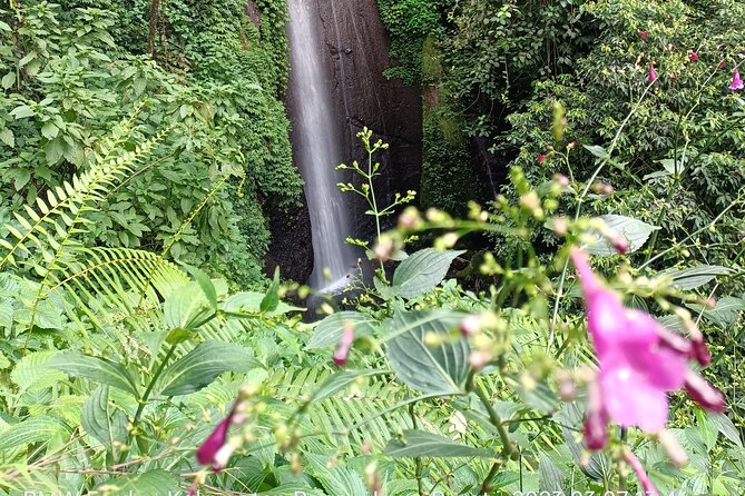 Jakarta Bogor Botanical Garden, Waterfall and Rice terrace, Lunch - Mulyaharja rice fields: a quieter view before the climb