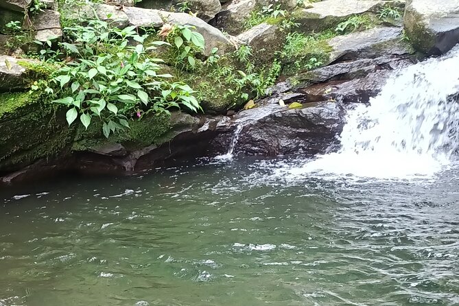 Jakarta Bogor Botanical Garden, Waterfall and Rice terrace, Lunch - Guides and drivers make the day: names to look for