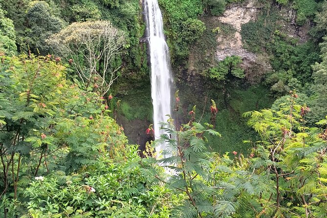 Jakarta Bogor Botanical Garden, Waterfall and Rice terrace, Lunch - Kebun Raya Bogor: an 84-hectare botanical pause