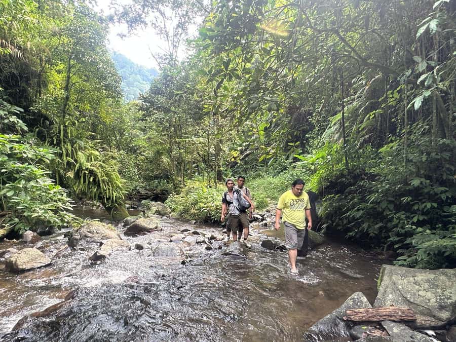 Jakarta: Botanical Garden & Rainforest Trekking to Waterfall - Key Highlights You Should Know