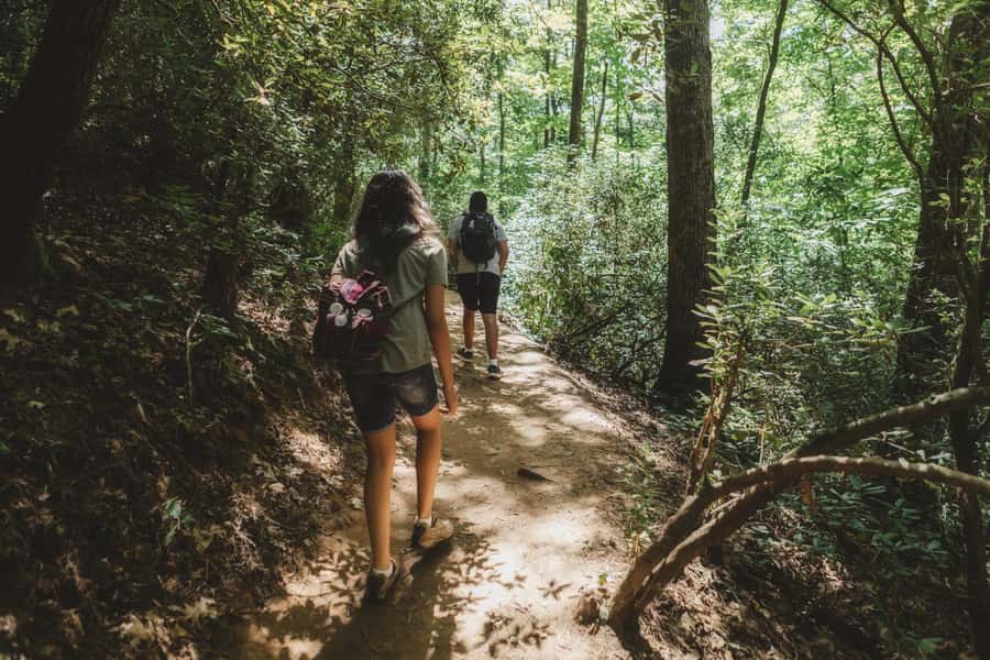 Jakarta: Botanical Garden & Rainforest Trekking to Waterfall - Jakarta to Bogor Countryside, Without the Headache
