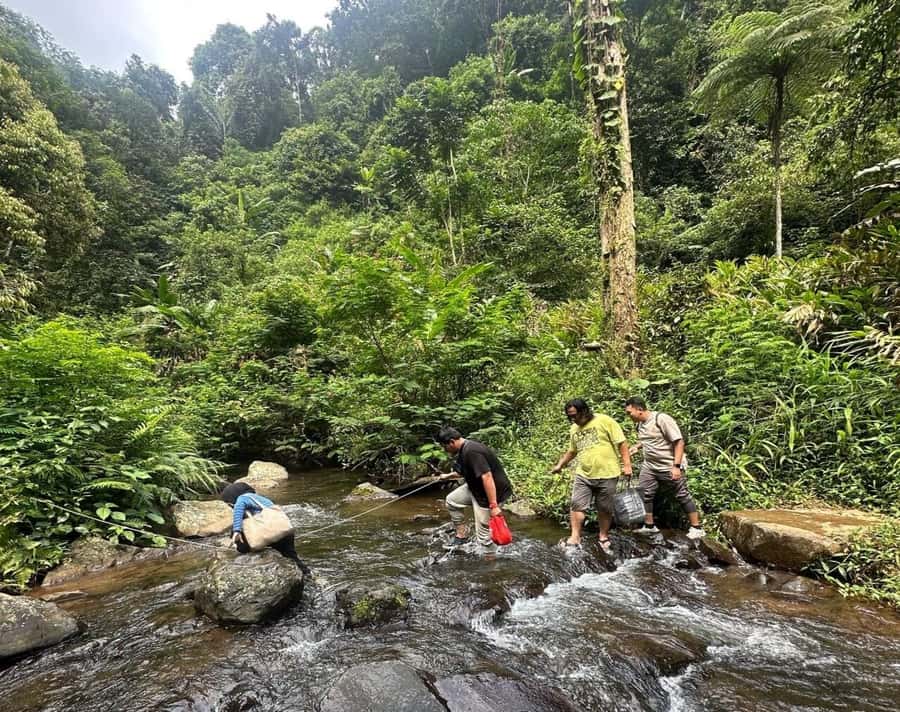 Jakarta: Botanical Garden & Rainforest Trekking to Waterfall - Bogor Botanical Garden: 1817 Plants and a Presidential Palace