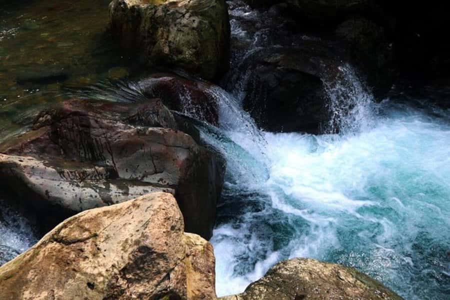 Jakarta: Botanical Garden & Rainforest Trekking to Waterfall - The Rainforest Trek to Cikaracak Waterfall, and Why You Get Wet