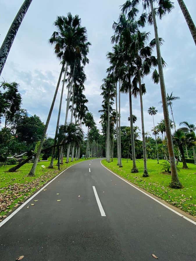 Jakarta: Botanical Garden & Rainforest Trekking to Waterfall - Soaking Under the 40-Meter Falls, Then Back to Jakarta
