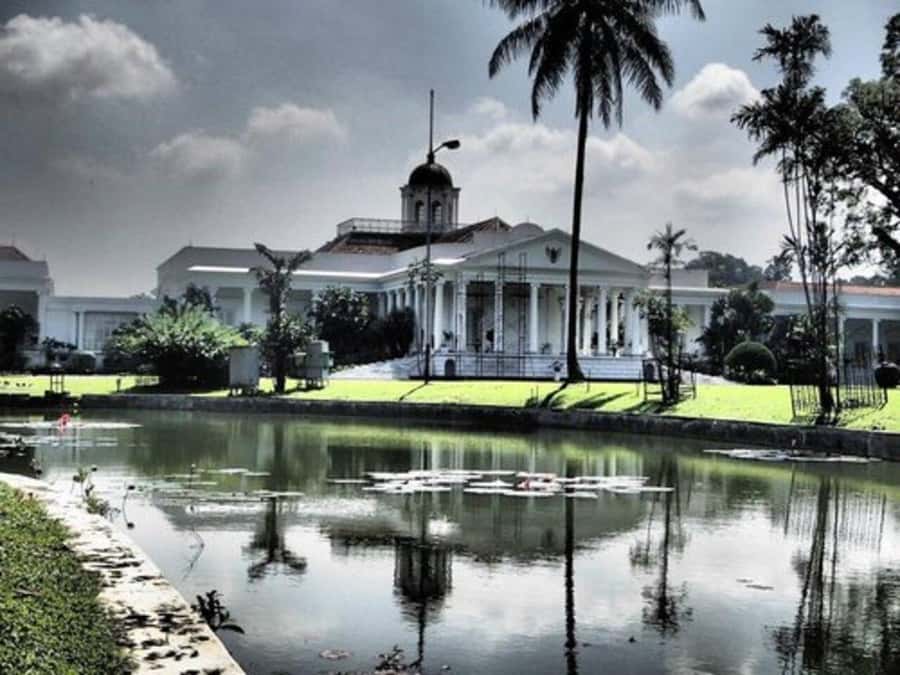 Jakarta: Botanical Garden & Rainforest Trekking to Waterfall - Who Should Book This Bogor Rainforest and Garden Day