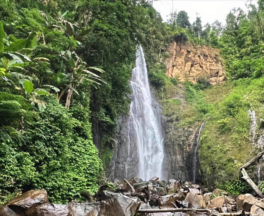 Jakarta: Botanical Garden & Rainforest Trekking to Waterfall - Rice Fields and Village Life, the Human Side of Java