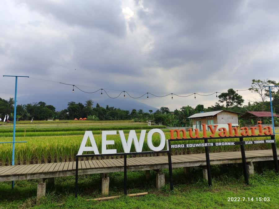 Jakarta : Botanical Garden, Waterfalls, and Rice Fields Tour - Key highlights worth planning for