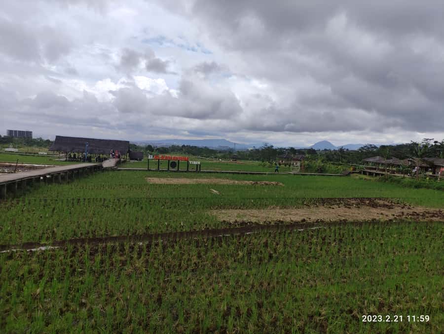 Jakarta : Botanical Garden, Waterfalls, and Rice Fields Tour - Wayang golek: puppet-making viewing and a traditional arts stop