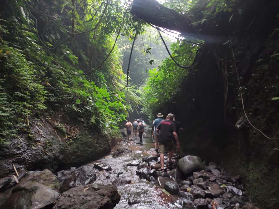 Jakarta : Botanical Garden, Waterfalls, and Rice Fields Tour - What the day feels like in real life (and who will enjoy it most)
