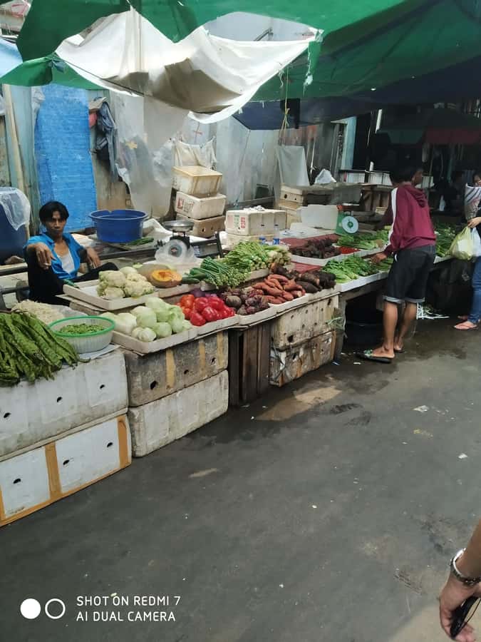 Jakarta: Private Full-Day Guided Tour Highlight of Jakarta - Private transport and hotel pickup: the real value for a tight day