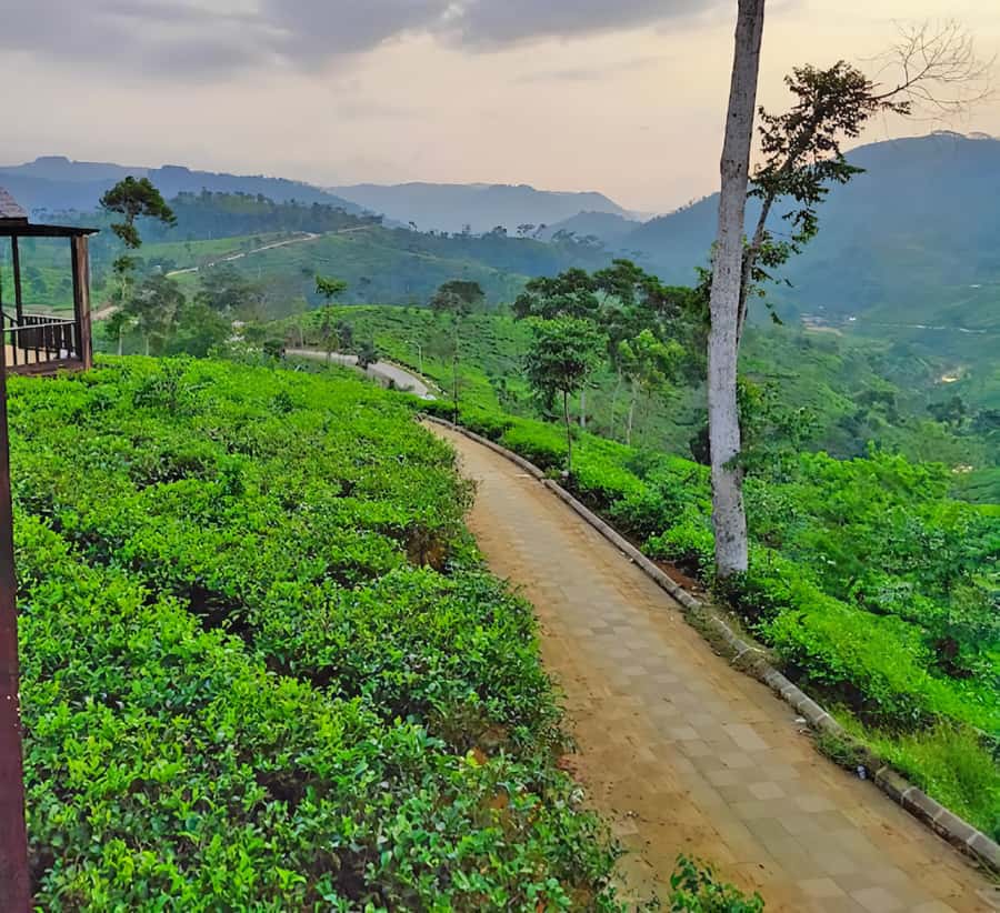 Jakarta Private Tour : Situs Gunung Padang - Arriving at Gunung Padang: Southeast Asia’s Biggest Stepped Punden Complex