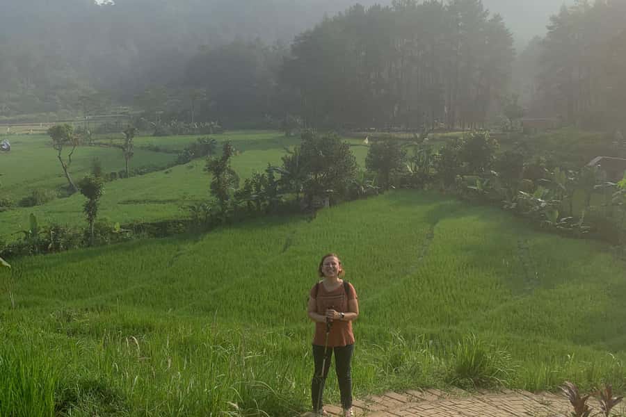 Jakarta: Sentul Pine Forest and Waterfall Trekking Tour - The First Trek Segment (About 3 Hours): Pine Forest and Farm Country Vibes