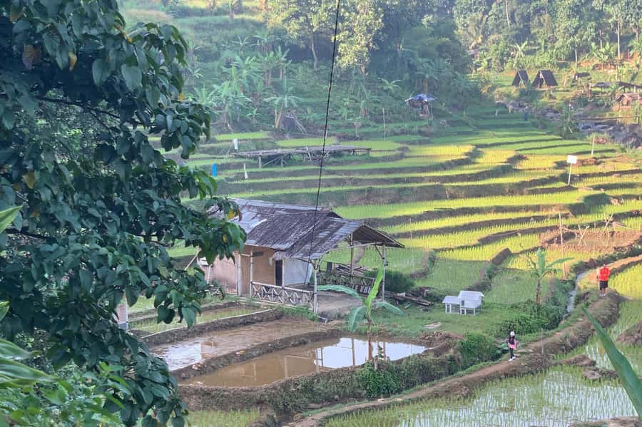 Jakarta: Sentul Pine Forest and Waterfall Trekking Tour - Lunch Break and Energy Reset: What to Expect During the 1-Hour Pause