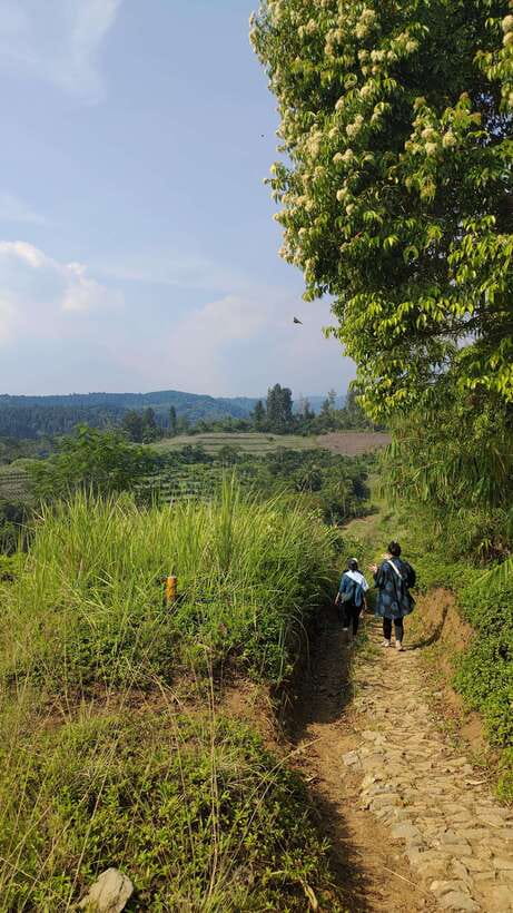 Jakarta to Bogor: Luhur Waterfall and Lake Lido Day Trip - From Jakarta to Bogor: Two Nature Stops That Actually Flow