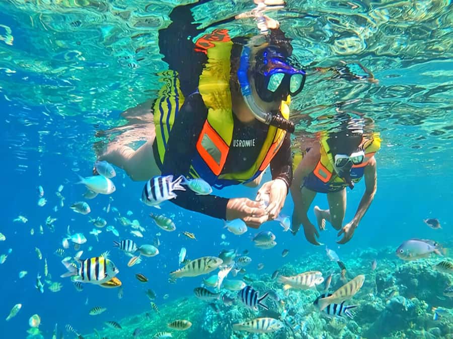 Jakarta Tour : Beauty Thousand Island of Jakarta - Resort time on the island: clean, fun, or basically free time