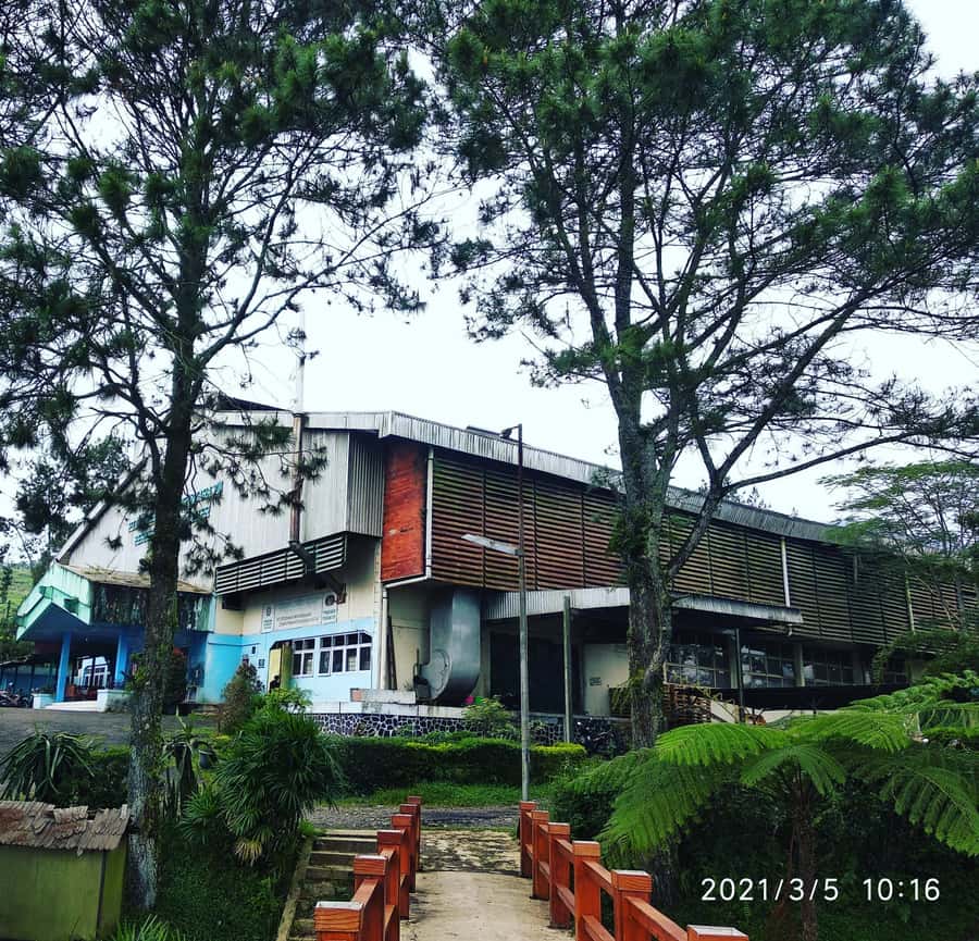 Jakarta :Volcano, HotSpring, Tea Factory, RiceField, &Coffee - A Private Car Day Trip From Jakarta Into Cool Highland Java