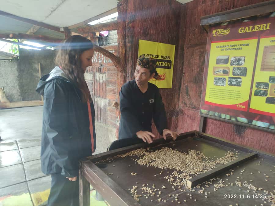 Jakarta :Volcano, HotSpring, Tea Factory, RiceField, &Coffee - Tangkuban Perahu Volcano Crater Walk: Sulfur Smell and Optional Trek