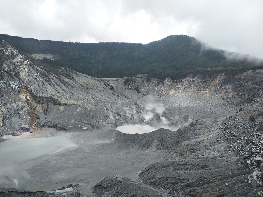 Jakarta :Volcano, HotSpring, Tea Factory, RiceField, &Coffee - Luwak Coffee at Cikole: Learn the Process, Budget the Drink