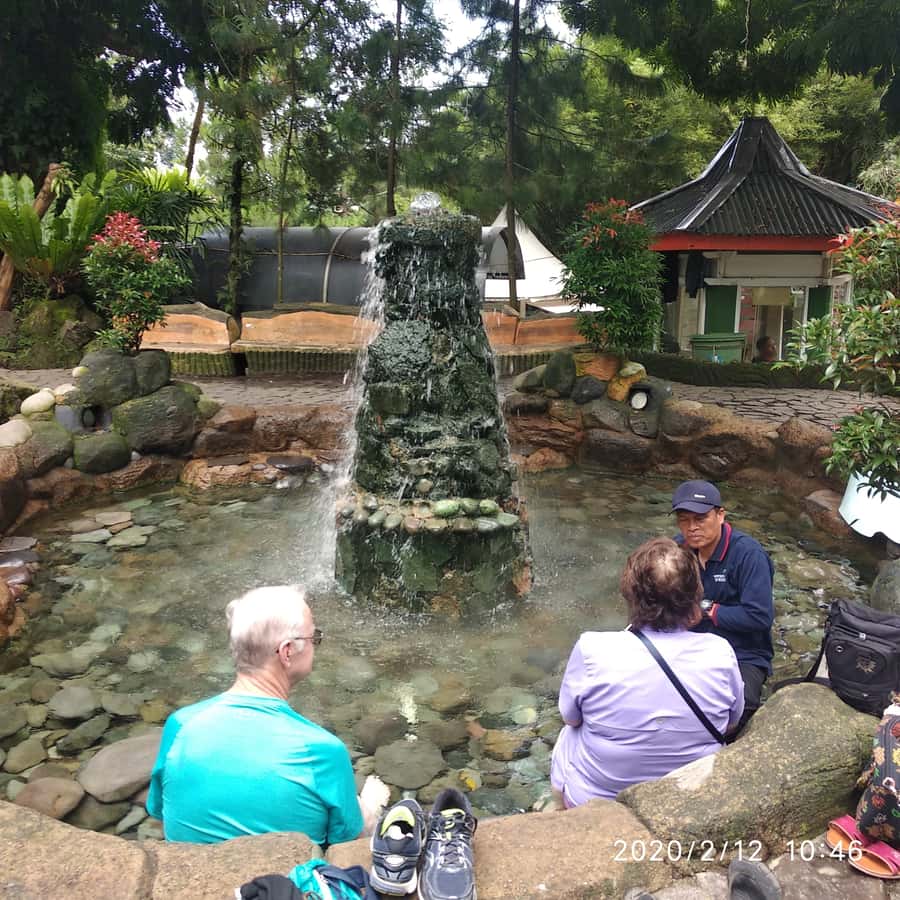 Jakarta :Volcano, HotSpring, Tea Factory, RiceField, &Coffee - Ciater Tea Plantation and Factory: Leaf Picking to Black Tea
