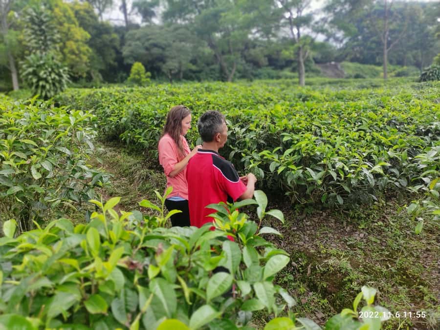 Jakarta :Volcano, HotSpring, Tea Factory, RiceField, &Coffee - Sari Ater Hot Spring: Warm Sulfur Water for Tired Feet