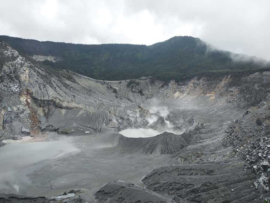 Jakarta :Volcano, HotSpring, Tea Factory, RiceField, &Coffee - Pineapple Plantation Stop: Juice, Photos, and Snack-Time Choices