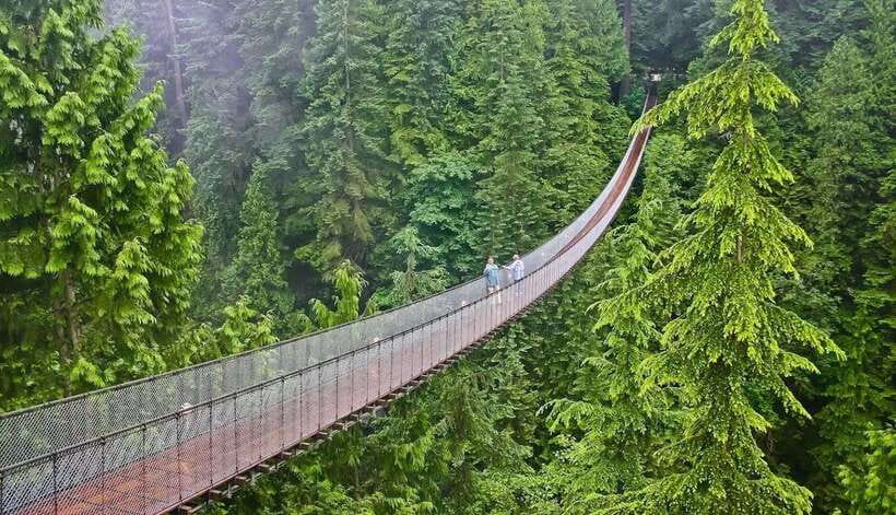 Jakarta: Volcano, Suspension Bridge, and Hot Spring Tour - Why This Tour Works for a One-Day West Java Escape